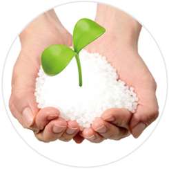 biomass plastic